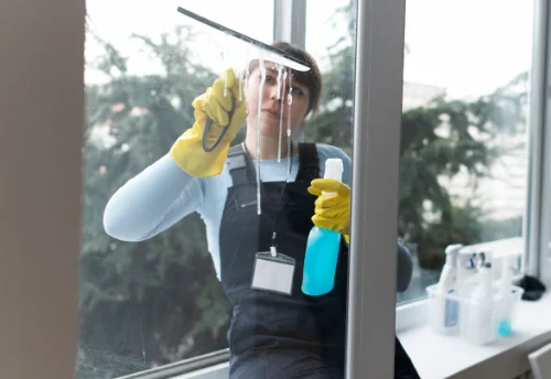 Nettoyage de vitres intérieures et extérieures à Saint-Genest-Lerpt